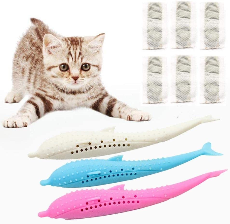 Cat fish shape toothbrush with catnip